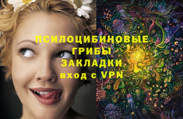 COCAINE Богданович