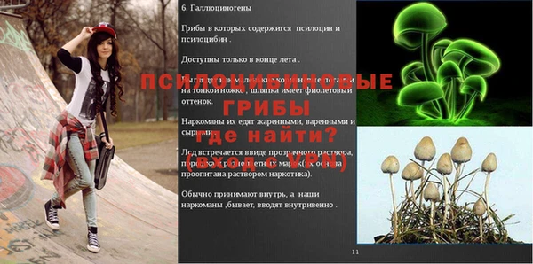гашиш Богородицк