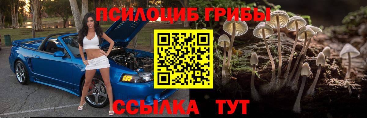 Псилоцибиновые грибы прущие грибы Обь